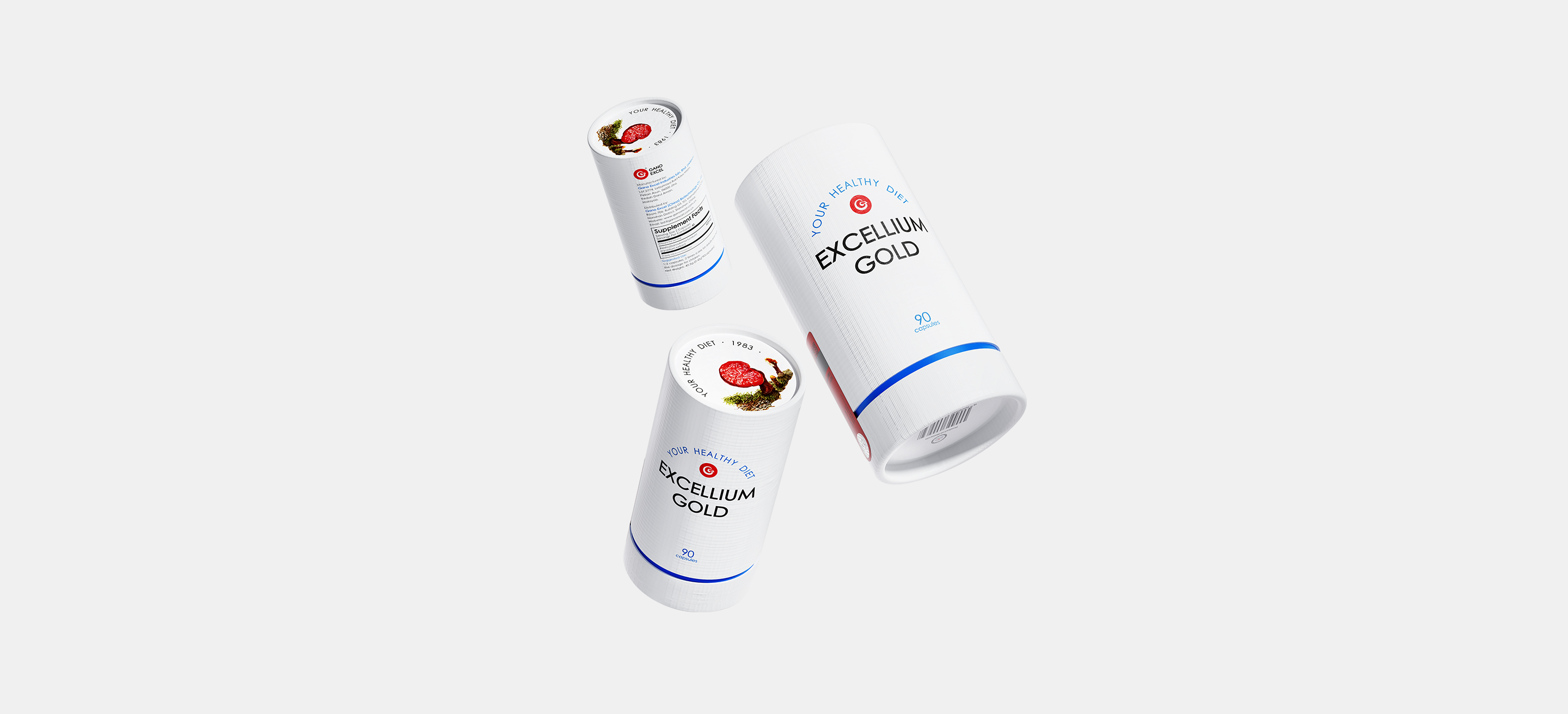 菌丝